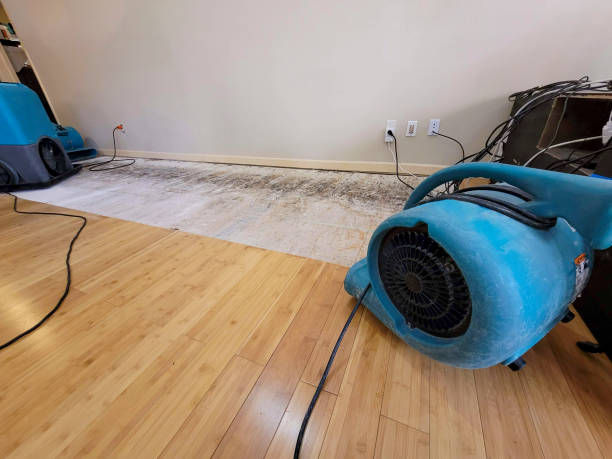 Reliable Basement Flood Cleanup contractor in Webster, IN by Hirex Water Damage