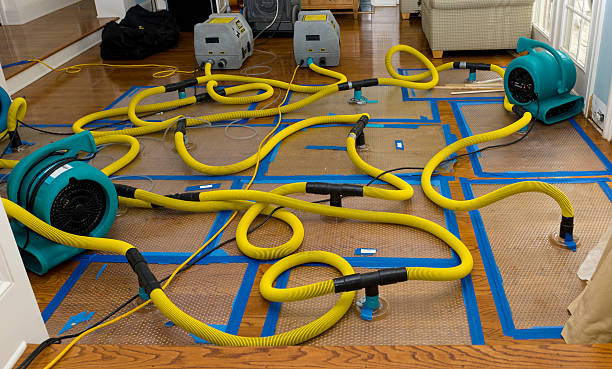 Professional Basement Flood Cleanup technician working in Webster, IN